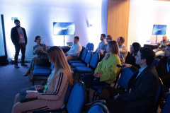 CESA1246